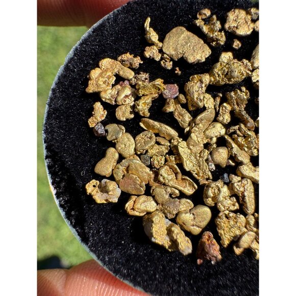 Gold Nuggets from California - 4.36 grams - Picture 5 of 6